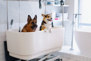 Two dogs playfully splashing in a bathtub, enjoying a fun and messy bath time together.